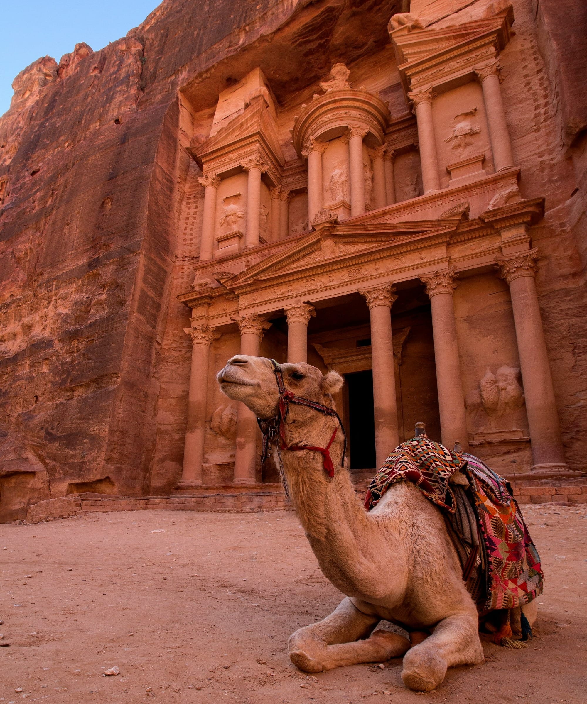 Jordanie : 30 choses à voir et à faire (Pétra, Wadi Rum, Mer Morte, Amman…) Image de l’article